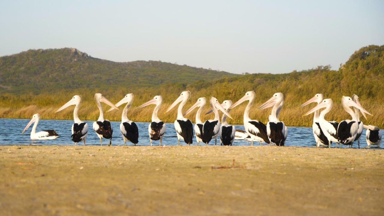 Castaways Moreton Island Bulwer Экстерьер фото
